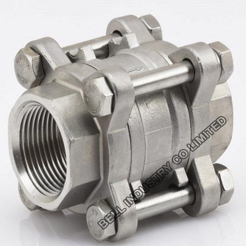 stainless steel Spring loaded check valve