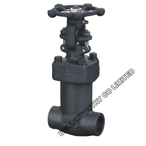 Forged Steel A105n Bellow Seal Globe Valve