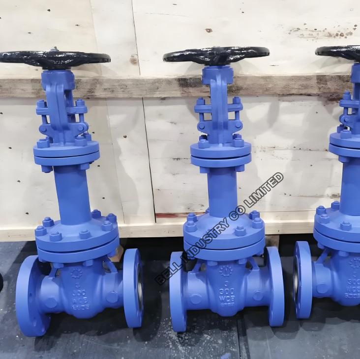 DIN BELLOW SEAL GATE VALVE